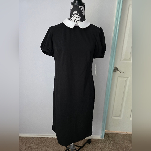 Shelby & Palmer Black Collared Dress Size 12 - Picture 6 of 12